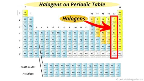 how many valence electrons in halogens|6.12: Halogens .